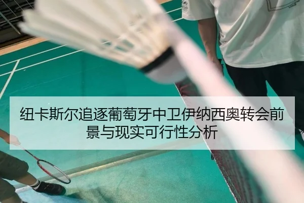 纽卡斯尔追逐葡萄牙中卫伊纳西奥转会前景与现实可行性分析